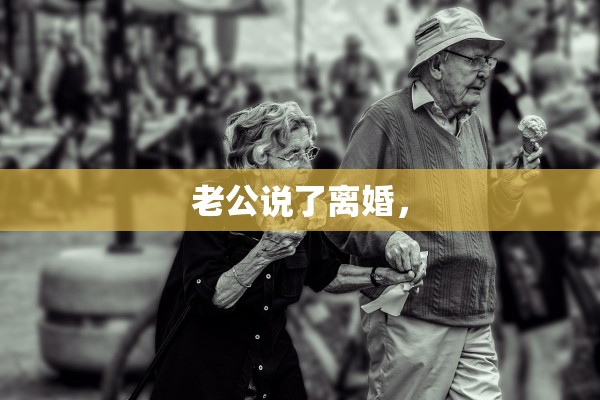 老公说了离婚，