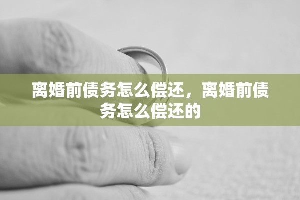 离婚前债务怎么偿还，离婚前债务怎么偿还的