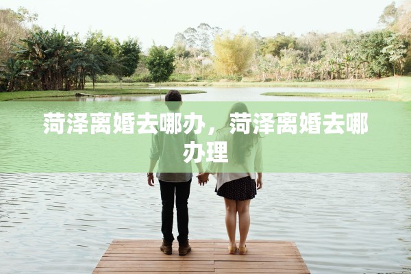 菏泽离婚去哪办，菏泽离婚去哪办理