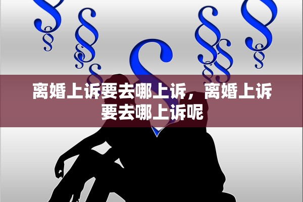 离婚上诉要去哪上诉,离婚上诉要去哪上诉呢 离婚上诉要去哪上诉,离婚上诉要去哪上诉呢