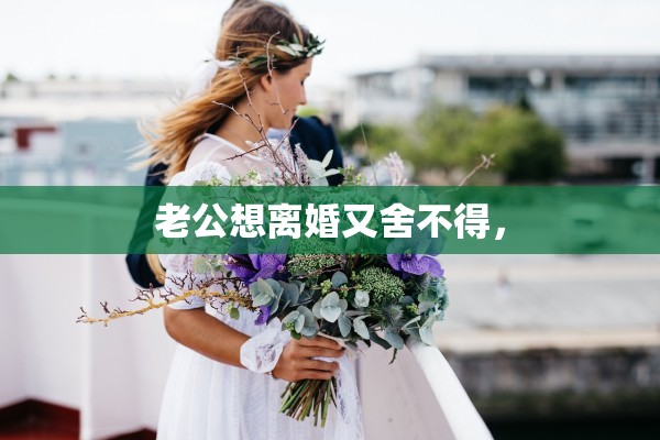 老公想离婚又舍不得, 老公想离婚又舍不得,