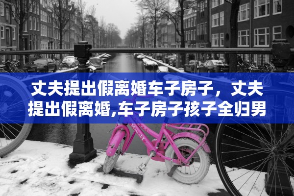 丈夫提出假离婚车子房子,丈夫提出假离婚,车子房子孩子全归男方 丈夫提出假离婚车子房子,丈夫提出假离婚,车子房子孩子全归男方