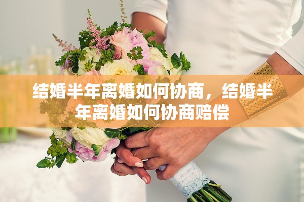 结婚半年离婚如何协商,结婚半年离婚如何协商赔偿 结婚半年离婚如何协商,结婚半年离婚如何协商赔偿