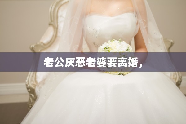 老公厌恶老婆要离婚, 老公厌恶老婆要离婚,