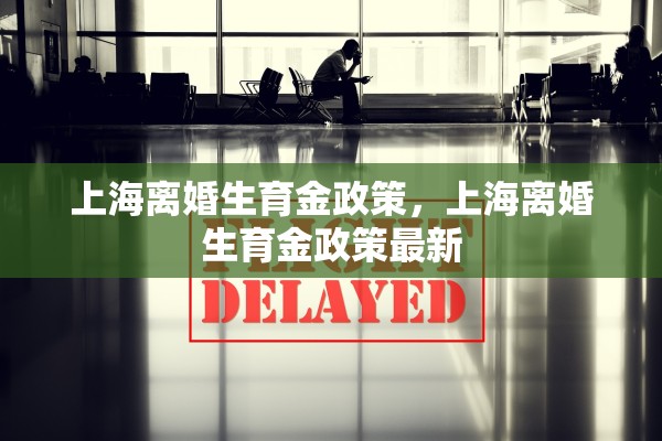 上海离婚生育金政策,上海离婚生育金政策最新 上海离婚生育金政策,上海离婚生育金政策最新
