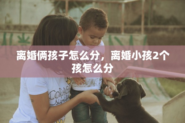 离婚俩孩子怎么分,离婚小孩2个孩怎么分 离婚俩孩子怎么分,离婚小孩2个孩怎么分