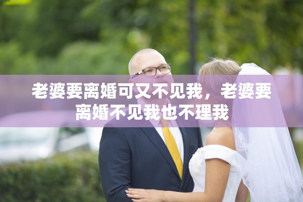 老婆要离婚可又不见我，老婆要离婚不见我也不理我
