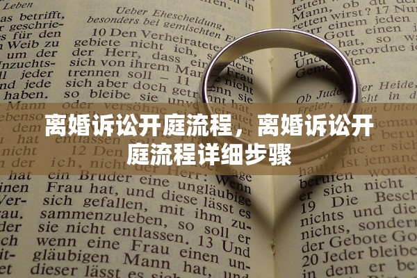 离婚诉讼开庭流程，离婚诉讼开庭流程详细步骤