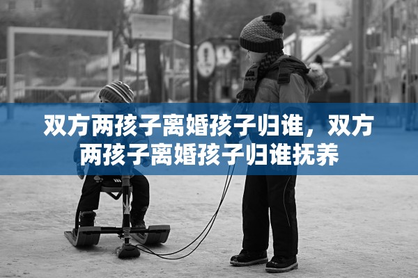 双方两孩子离婚孩子归谁，双方两孩子离婚孩子归谁抚养