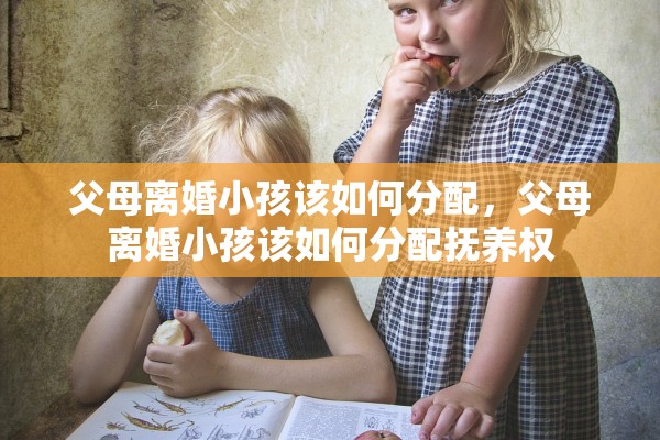 父母离婚小孩该如何分配,父母离婚小孩该如何分配抚养权 父母离婚小孩该如何分配,父母离婚小孩该如何分配抚养权