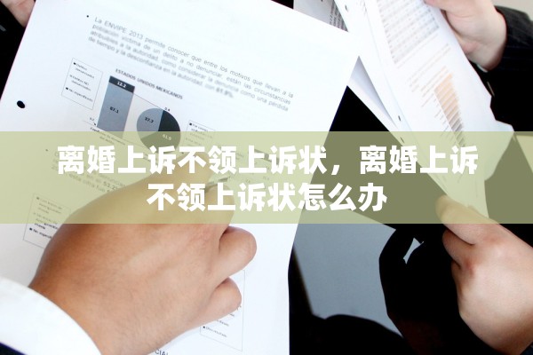 离婚上诉不领上诉状，离婚上诉不领上诉状怎么办