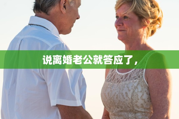 说离婚老公就答应了, 说离婚老公就答应了,
