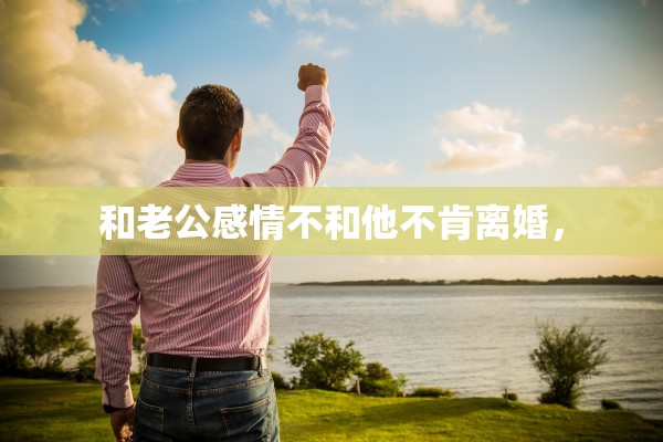 和老公感情不和他不肯离婚，