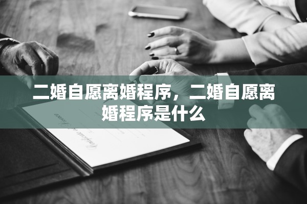 二婚自愿离婚程序，二婚自愿离婚程序是什么