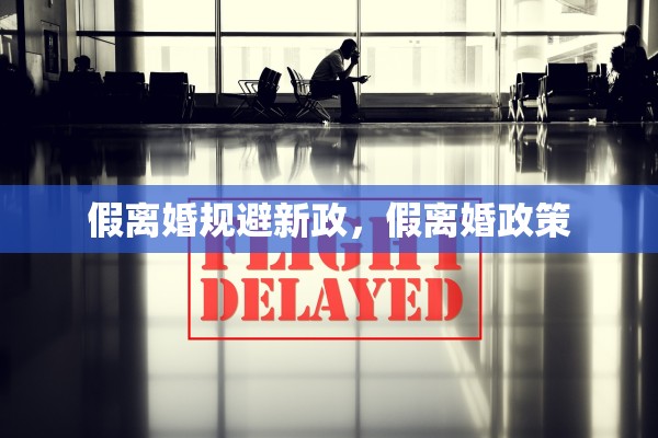 假离婚规避新政,假离婚政策 假离婚规避新政,假离婚政策