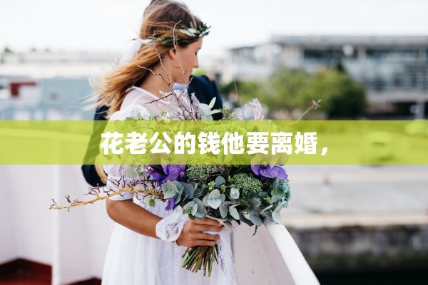 花老公的钱他要离婚, 花老公的钱他要离婚,