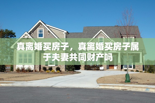 真离婚买房子,真离婚买房子属于夫妻共同财产吗 真离婚买房子,真离婚买房子属于夫妻共同财产吗