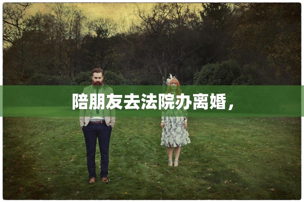 陪朋友去法院办离婚，