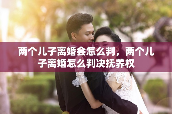 两个儿子离婚会怎么判,两个儿子离婚怎么判决抚养权 两个儿子离婚会怎么判,两个儿子离婚怎么判决抚养权
