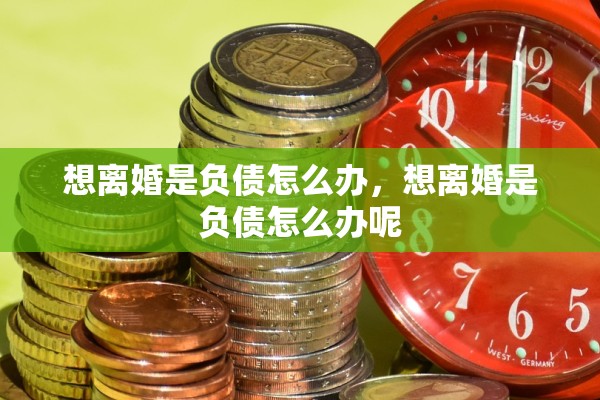 想离婚是负债怎么办,想离婚是负债怎么办呢 想离婚是负债怎么办,想离婚是负债怎么办呢