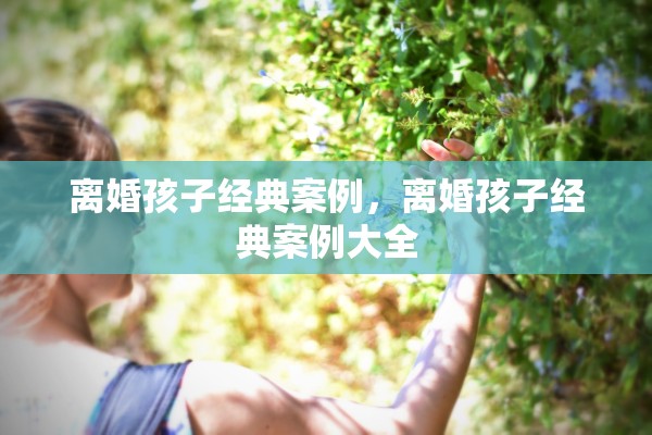 离婚孩子经典案例,离婚孩子经典案例大全 离婚孩子经典案例,离婚孩子经典案例大全