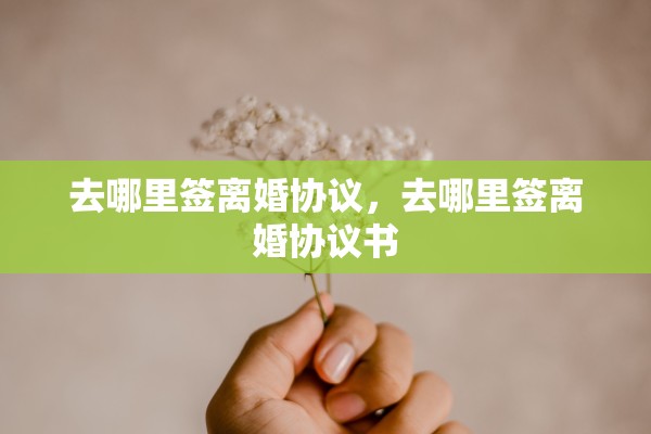 去哪里签离婚协议,去哪里签离婚协议书 去哪里签离婚协议,去哪里签离婚协议书