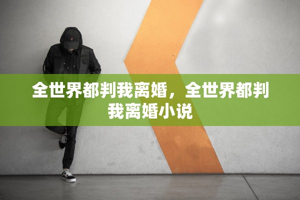 全世界都判我离婚，全世界都判我离婚小说