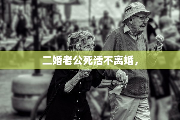 二婚老公死活不离婚, 二婚老公死活不离婚,
