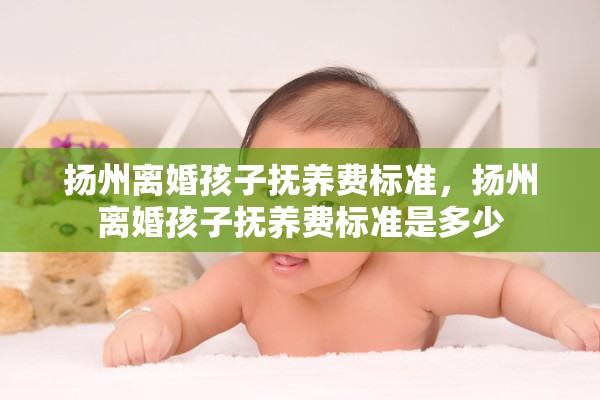 扬州离婚孩子抚养费标准，扬州离婚孩子抚养费标准是多少