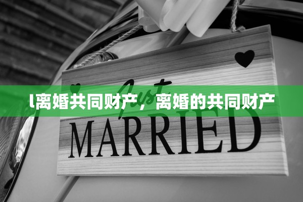 l离婚共同财产，离婚的共同财产