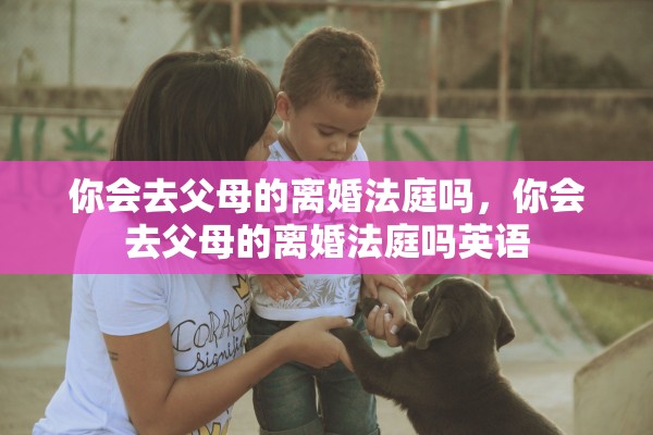你会去父母的离婚法庭吗,你会去父母的离婚法庭吗英语 你会去父母的离婚法庭吗,你会去父母的离婚法庭吗英语