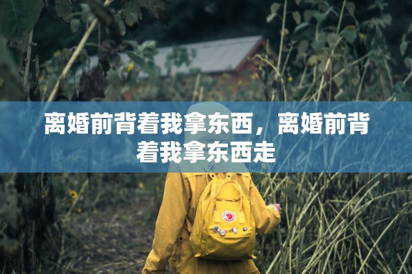 离婚前背着我拿东西，离婚前背着我拿东西走