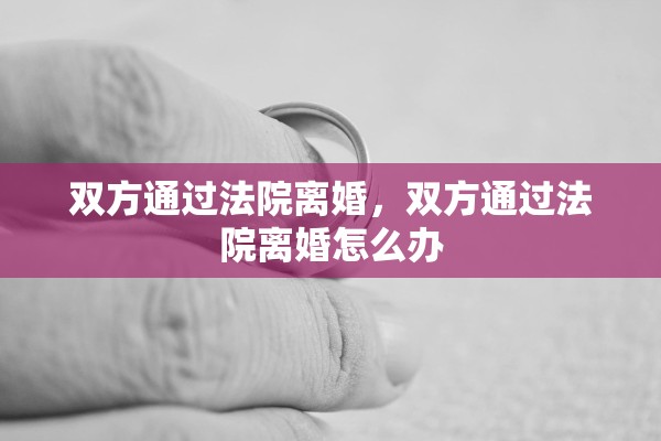 双方通过法院离婚，双方通过法院离婚怎么办