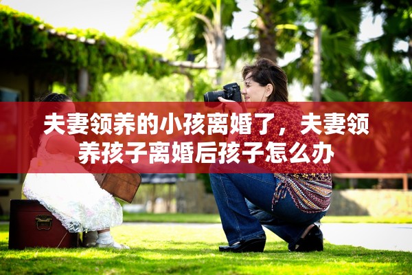 夫妻领养的小孩离婚了,夫妻领养孩子离婚后孩子怎么办 夫妻领养的小孩离婚了,夫妻领养孩子离婚后孩子怎么办