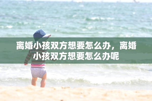 离婚小孩双方想要怎么办，离婚小孩双方想要怎么办呢