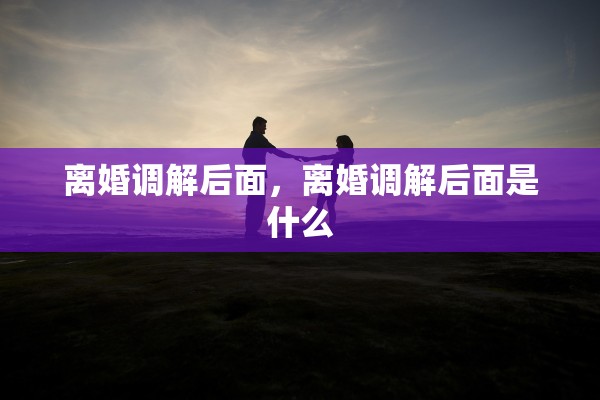 离婚调解后面,离婚调解后面是什么 离婚调解后面,离婚调解后面是什么