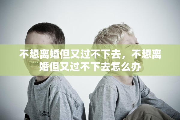 不想离婚但又过不下去，不想离婚但又过不下去怎么办