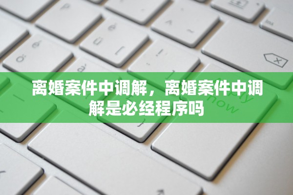 离婚案件中调解，离婚案件中调解是必经程序吗