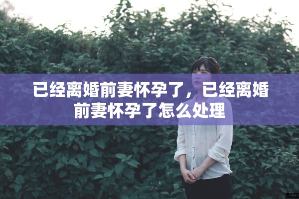 已经离婚前妻怀孕了,已经离婚前妻怀孕了怎么处理 已经离婚前妻怀孕了,已经离婚前妻怀孕了怎么处理