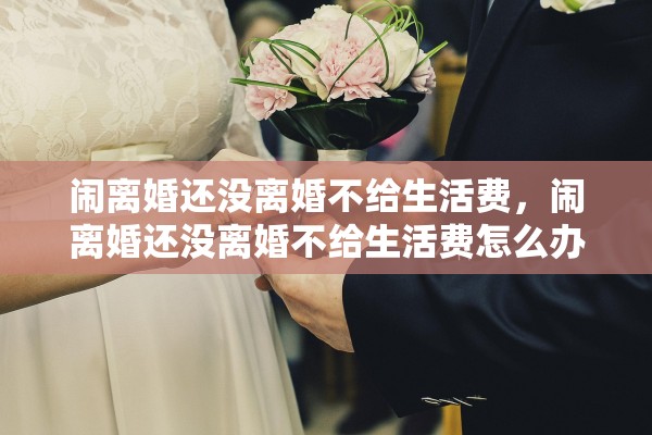 闹离婚还没离婚不给生活费,闹离婚还没离婚不给生活费怎么办 闹离婚还没离婚不给生活费,闹离婚还没离婚不给生活费怎么办