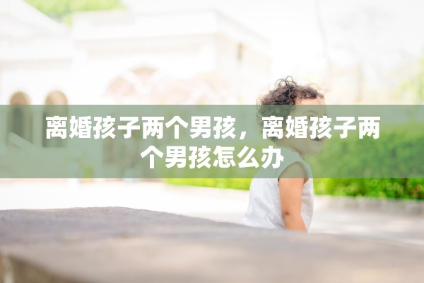 离婚孩子两个男孩,离婚孩子两个男孩怎么办 离婚孩子两个男孩,离婚孩子两个男孩怎么办
