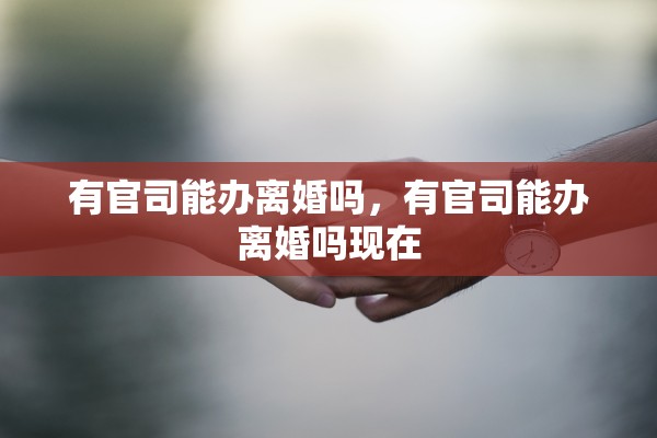 有官司能办离婚吗,有官司能办离婚吗现在 有官司能办离婚吗,有官司能办离婚吗现在