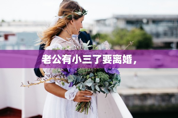 老公有小三了要离婚, 老公有小三了要离婚,