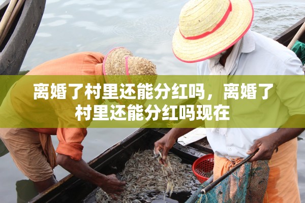 离婚了村里还能分红吗，离婚了村里还能分红吗现在