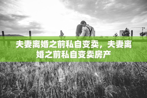 夫妻离婚之前私自变卖,夫妻离婚之前私自变卖房产 夫妻离婚之前私自变卖,夫妻离婚之前私自变卖房产