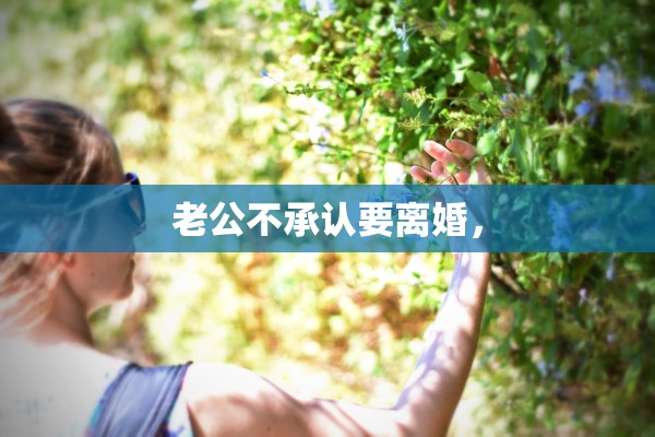老公不承认要离婚，