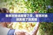 我想对她说离婚了没，我想对她说离婚了没离婚