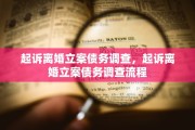 起诉离婚立案债务调查，起诉离婚立案债务调查流程