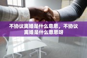 不协议离婚是什么意思，不协议离婚是什么意思呀