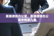 离婚律师办公室，离婚律师办公室恋情第几集